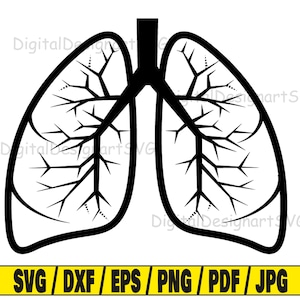 Lunge svg, menschliches Organ svg, Gesundheit svg, Lunge svg, Lunge svg, Lunge svg
