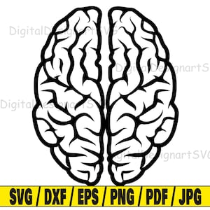 Brain svg, human brain svg cut file, human clipart, svg cut file for cricut, cut file for silhouette, intelligence dxf, brain png, x eps