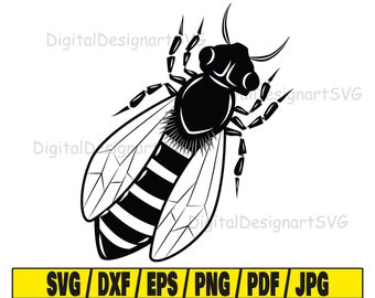 Bee svg, insect svg, animal svg, silhouette svg, svg cut file, honey svg