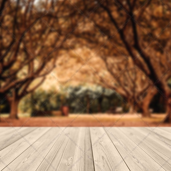 Background Mockup - Autumn Backdrops - Fall Digital Backgrounds Canva - Product Background Mockup - Clear Background Wooden Table Mock Up