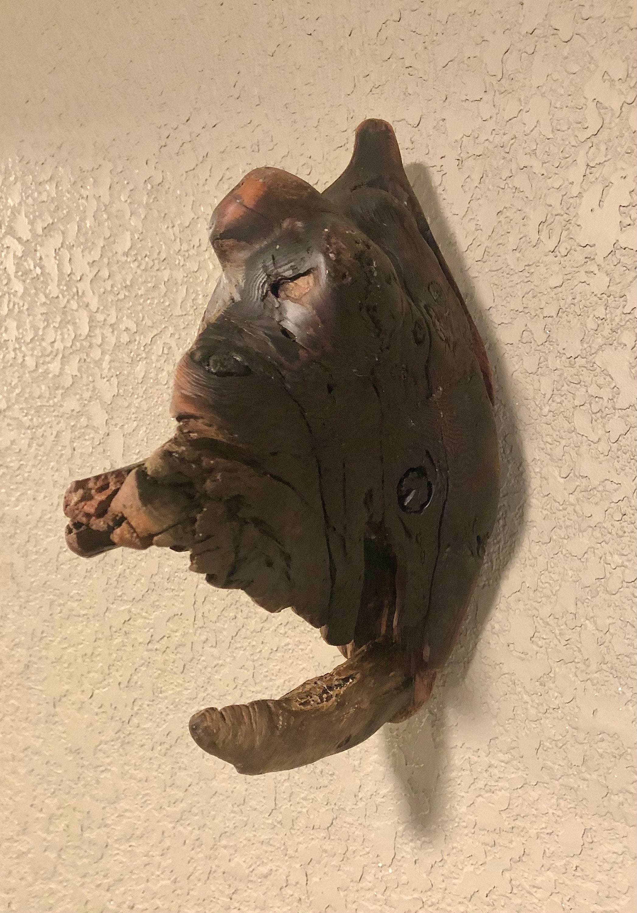 Unusual Wall Mounted Driftwood Sculpture Etsy