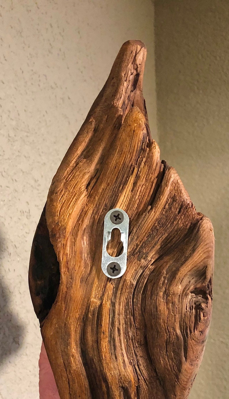 Unusual Wall Mounted Driftwood Sculpture Etsy