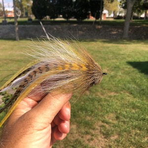 May include: A handmade fishing fly with a brown, yellow, and white feathered design. The fly is held in a person's hand against a backdrop of green grass and trees. The fly is designed for catching fish.