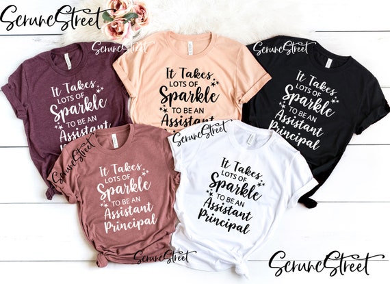 Funny Assistant Principal T-Shirt Gift Funny Assistant Principal T-Shirt Gift