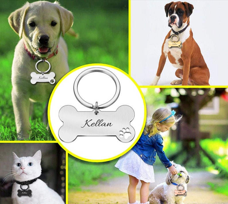 custom pet accessories