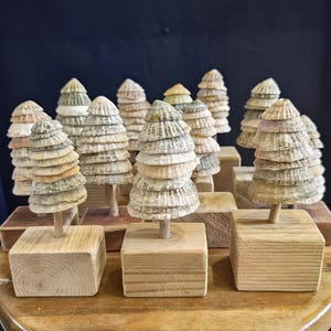 Limpet Shell Christmas Tree driftwood shell forest nature lover gift beachcomber seaside coastal theme shell tree bathroom dorset beaches