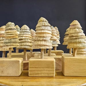 May include: A collection of small decorative trees crafted from stacked natural seashells. Each tree features a conical shape made of layered shells attached to a thin wooden trunk, which is mounted on a solid, rectangular wooden block base.