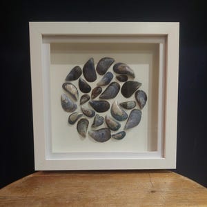 May include: A white framed picture with a circular arrangement of blue and grey seashells on a white background.