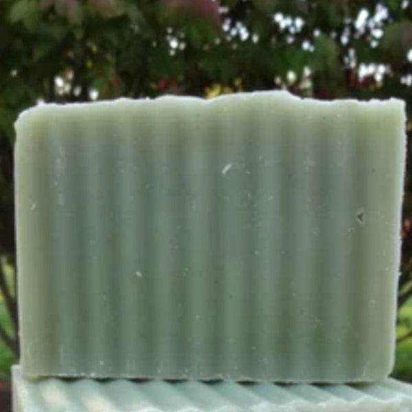 BALSAM FIR Premium Homemade Soap Bar moisturizing clean fresh cleansing made with balsam fir essential oil