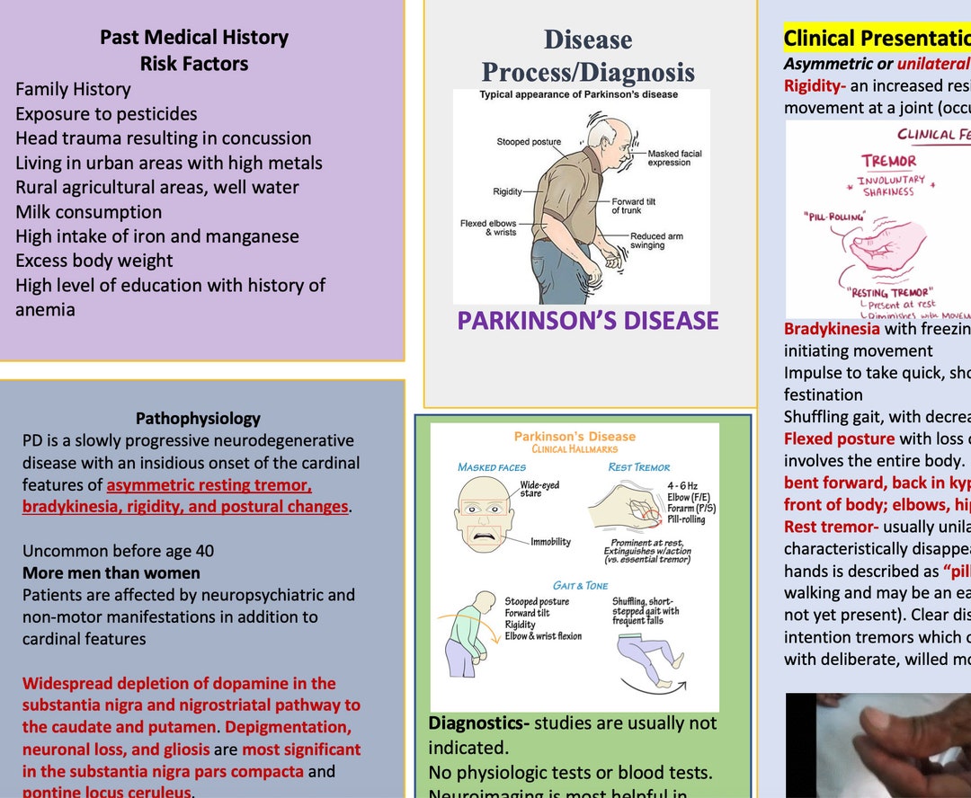 Parkinson's Disease Concept Map and Study Guide Etsy
