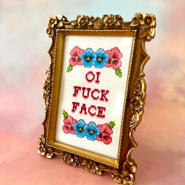 Funny Finished Cross Stitch | Crude Completed Cross Stitch | Amusing Cross Stitch | Gifts for Her | Gifts for Him | Cheeky Cross Stitch