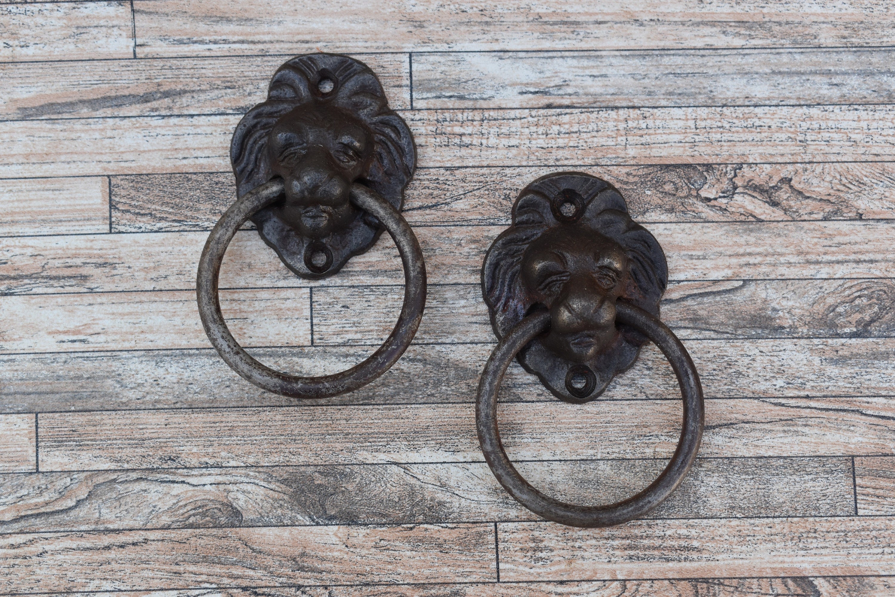 Cast iron lion - Etsy 日本