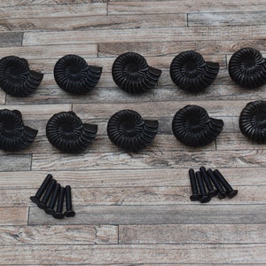 May include: Twelve black ammonite-shaped cabinet knobs with a set of six black screws.