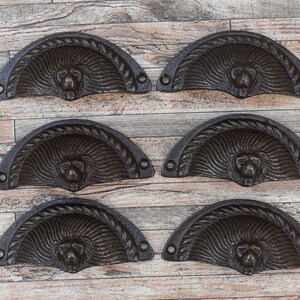 Può includere: Sei tiretti per cassetti in ghisa di stile antico con un design a testa di leone. Ogni tiretto ha la forma di un semicerchio con un bordo a corda.