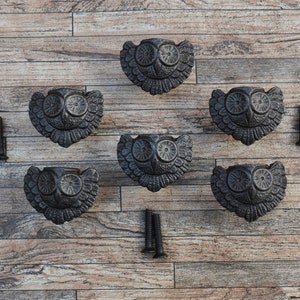 Può includere: Sei tiretti per cassetti a forma di gufo in ghisa nera con un design dettagliato. I tiretti sono disposti in cerchio su una superficie in legno. Sono inclusi due set di viti.