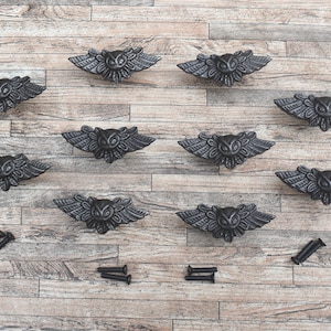 May include: Ten black metal owl-shaped cabinet knobs with a distressed finish. The knobs are arranged in two rows of five on a wooden surface. Two sets of screws are also included.