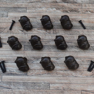 May include: Twelve black cast iron drawer pulls shaped like birds with a distressed finish. The pulls are arranged in three rows of four on a wooden surface. Each pull comes with two screws.