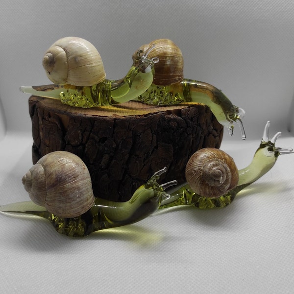 Snail glass snail with real house