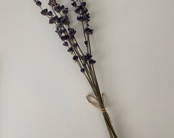 lavender dried bunch