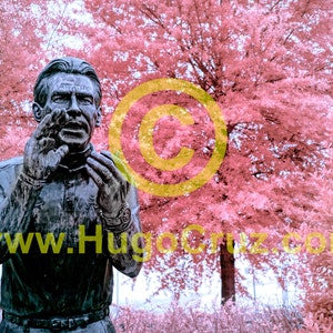 Saban Pride - Infrared Art Photography by Hugo Cruz - Ethereal University of Alabama Crimson Tide Nick Saban Football - Roll Tide - GO SEC!