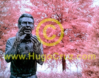 Saban Pride - Infrared Art Photography by Hugo Cruz - Ethereal University of Alabama Crimson Tide Nick Saban Football - Roll Tide - GO SEC!