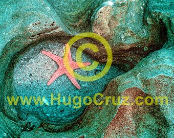 Coquina Star - Infrared Art Photography by Hugo Cruz - Ethereal Emotive Ocean Starfish Aqua Coral Tones