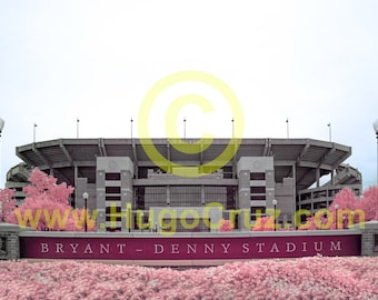Bryant-Denny Stadium - Infrared Art Photography by Hugo Cruz - Ethereal University of Alabama Crimson Tide Football - Roll Tide - GO SEC!