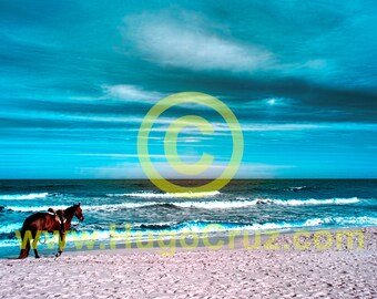 At Peace - Infrared Art Photography by Hugo Cruz - Ethereal Emotive Ocean Lone Horse on Sandy Beach Shore Waves Aqua Blue Coral Tones