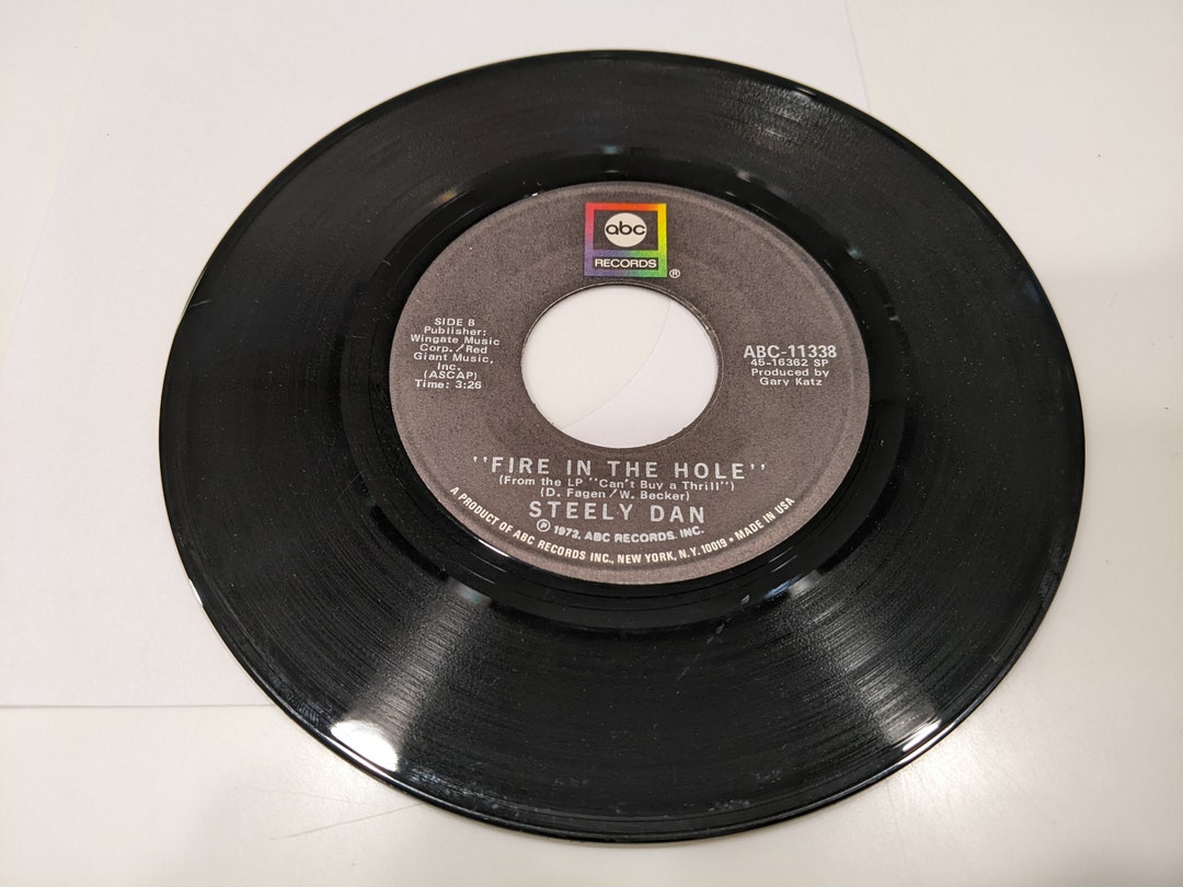 Steely Dan do It Again / Fire in the Hole Vinyl Etsy