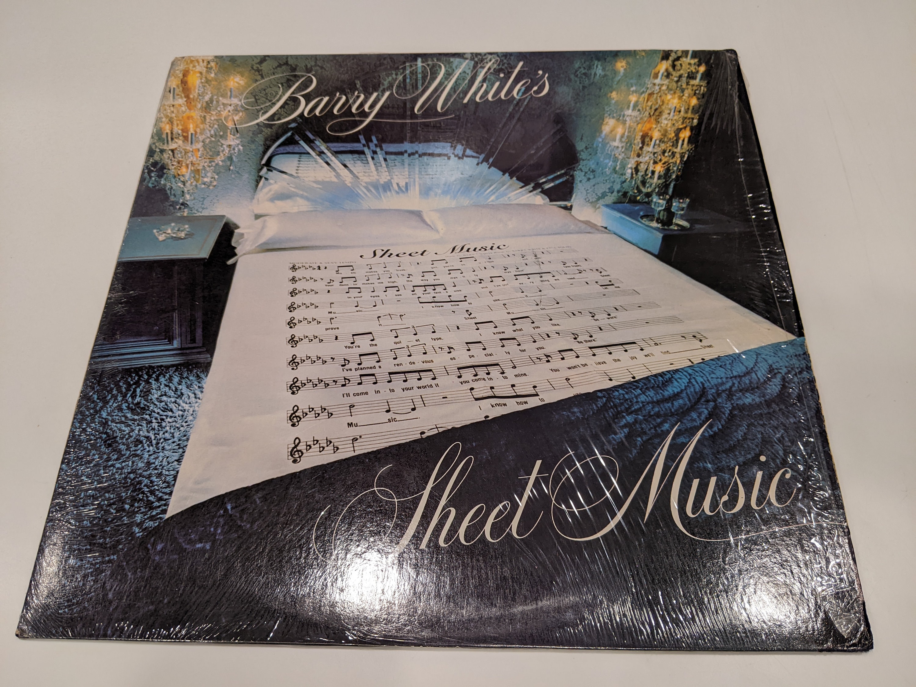 Barry White レコード 2枚セット　サンプル盤 il_fullxfull.4176068566_85rn.jpg