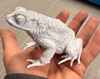 Puerto Rican Sapo Concho - Unpainted 3D Printed Figurine