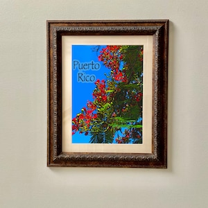 Puede incluir: Una impresión enmarcada de una flor roja vibrante con hojas verdes sobre un fondo de cielo azul. El texto "Puerto Rico" está escrito en blanco en la impresión.