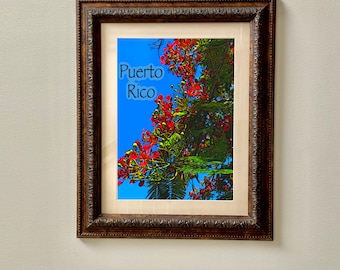Puerto Rico Flamboyant Flower Print | Boricua Summer Wall Art (PNG PDF Digital Download)