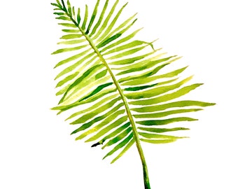 Fern Drawing Etsy