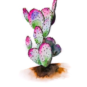 Puede incluir: Pintura acuarela de un cactus chumbera con almohadillas rosadas y verdes. El cactus está sobre un fondo de acuarela marrón.