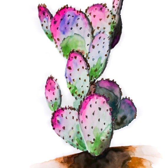 succulent boxes Succulents of the Month Club Subscription Box main image 0