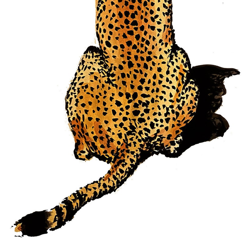 Cheetah Leopard Art Print, Leopard, Animal Print, Digital Art, Wall