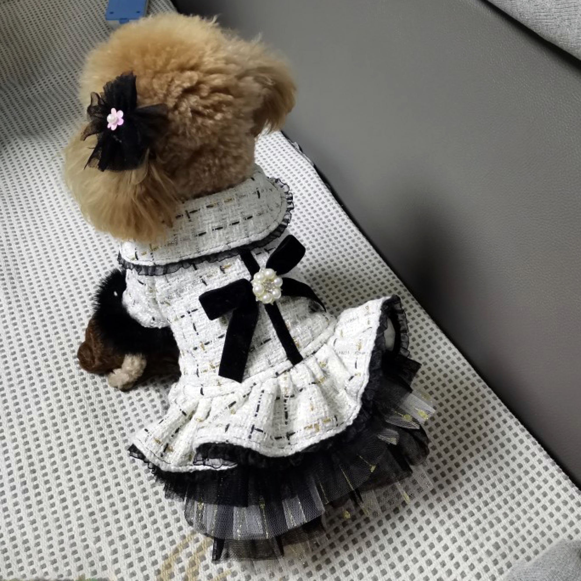 chanel dog clothing