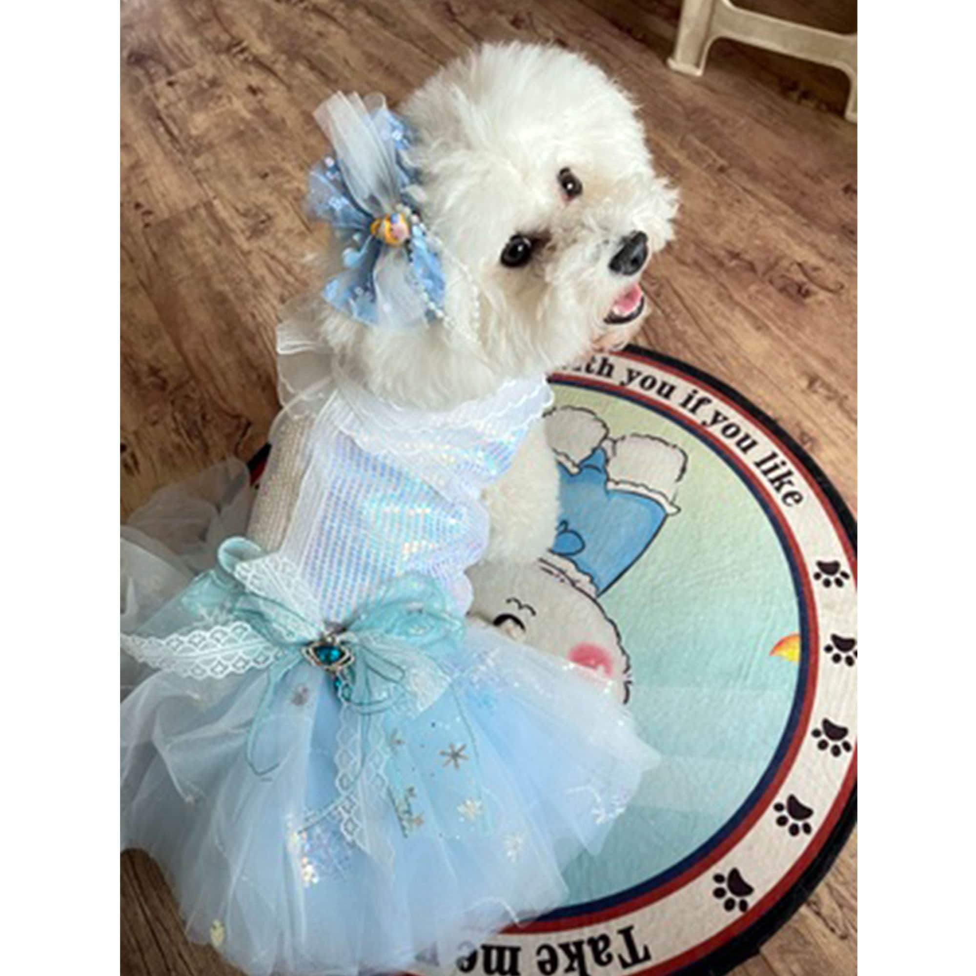 dog costume frozen