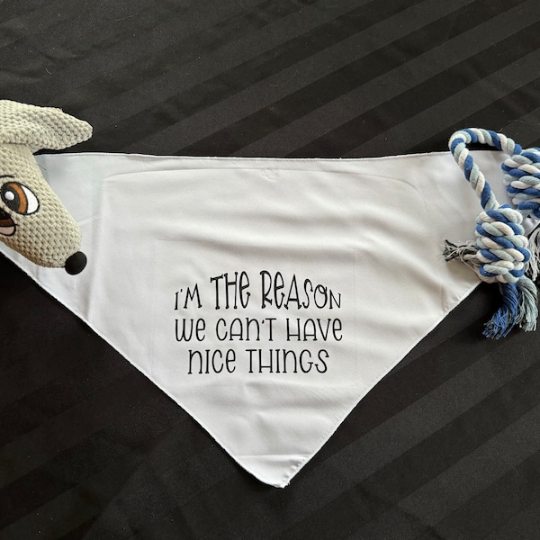 Personalized, stylish bandana for the cool dog. The scarf says "I’m the reason we can’t have nice things.” Available for small to large dogs