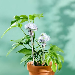 May include: A potted plant with green leaves and two silver disco ball mushroom-shaped decorations. The plant is in a terracotta pot.