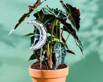 Disco Moon - Disco Ball Decorative Plant Stakes