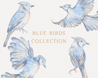 Blue Jay Clip Art Etsy Blue Jay Clip Art Etsy