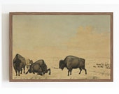 Herd of Bison CANVAS ROLLS Art Print Oil Painting Old West Western Landscape Painting 19th Century Art Print PRINTABLE art