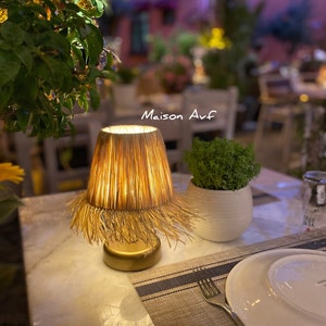 Raffia Table Lighting, Portable Battery Powered Lighting, Led Cordless Table Lamp Raffia Lighting, Bohemian Style, Restaurant,Cafe,Lampshade