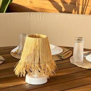 Table Lighting, Battery Lighting, Led Cordless Table Lamp Raffia Lighting, Bohemian Style Lamp, Bedside Lamp, Restaurant, Hotel Lamp