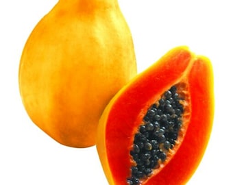 Hawaiian Solo SUNSET Papaya Seeds non-GMO Super Sweet