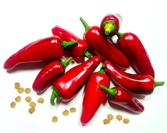 Hawaiian Sweet Hot aka WAIALUA Chili Pepper 15 Seeds Hawaii Jalapeño
