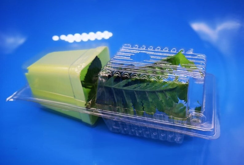 Plant Shipper Shipping Clamshell Packaging 8.5 inch for Clone Live Plant image 1