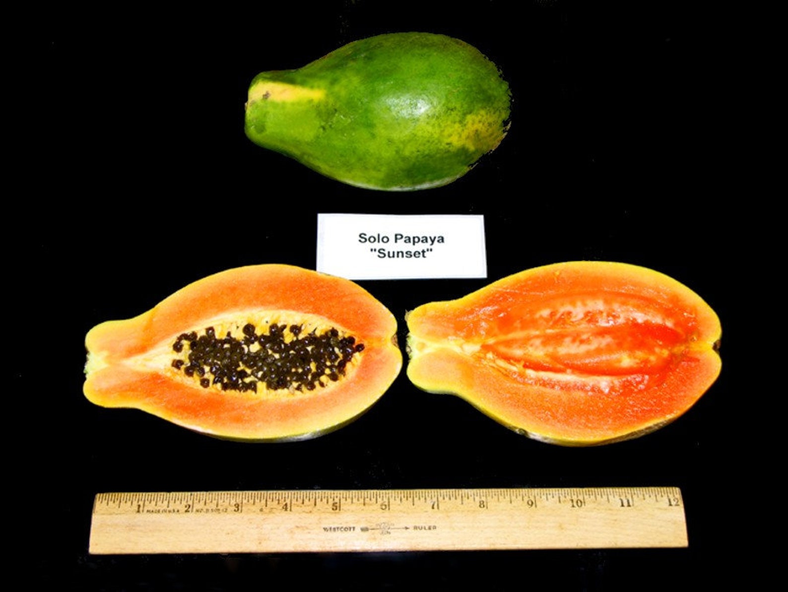 Hawaiian Solo SUNSET Papaya Seeds Nongmo Super Sweet Etsy